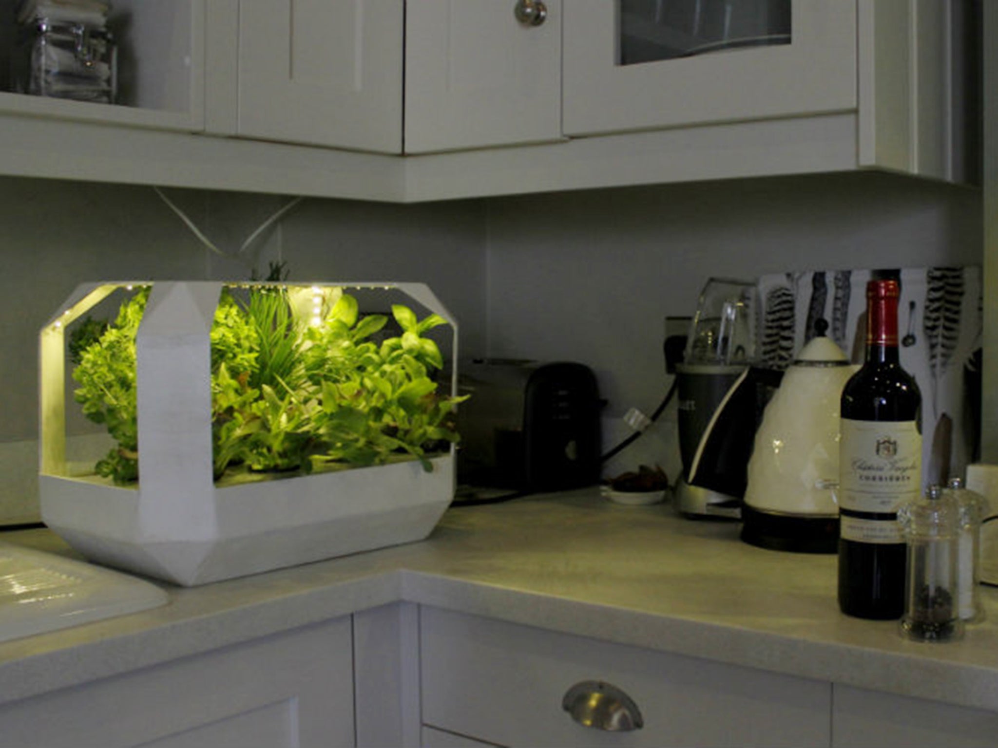 LettUs grow have developed a "Salad Bar" planter to grow vegetables in the home