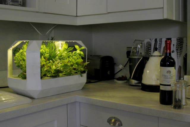 LettUs grow have developed a "Salad Bar" planter to grow vegetables in the home