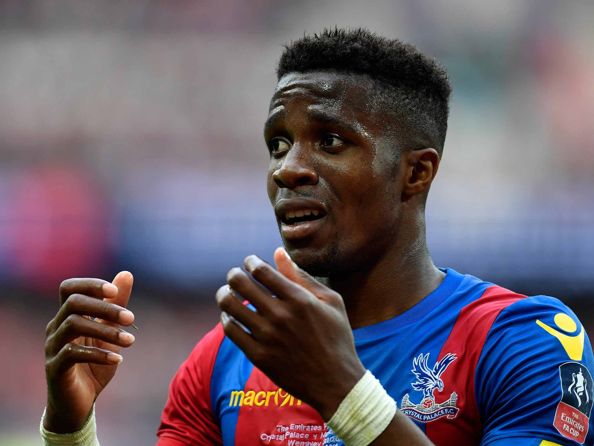 Zaha is reportedly hopeful of a move to Tottenham