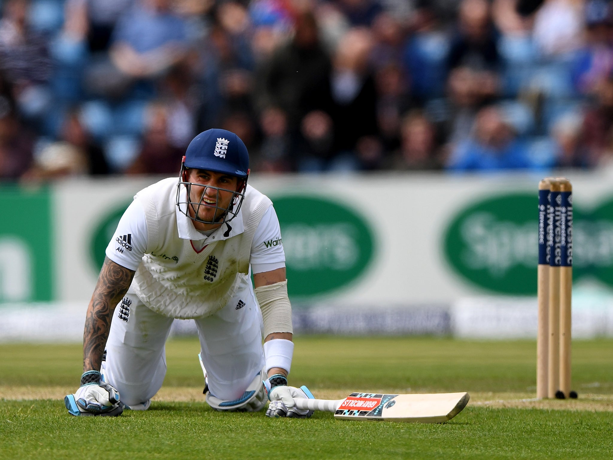 Hales could yet be the long-term opening partner for captain Alastair Cook