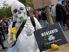 Thousands protest against seed giant Monsanto 