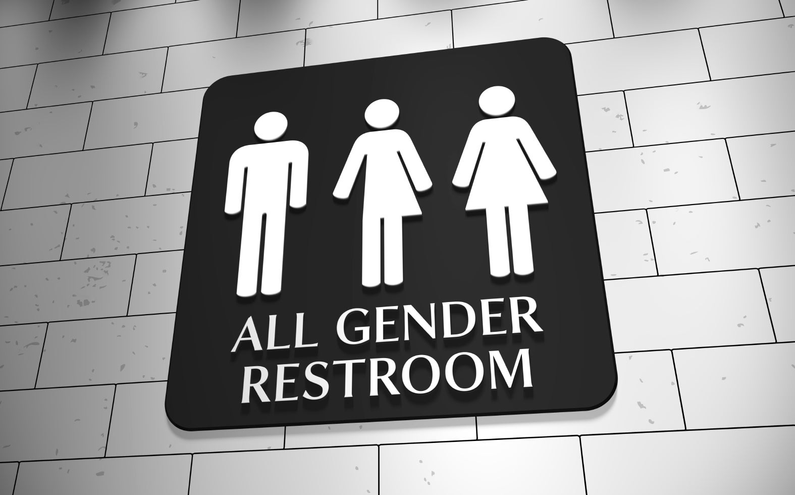 A gender neutral bathroom is shown.