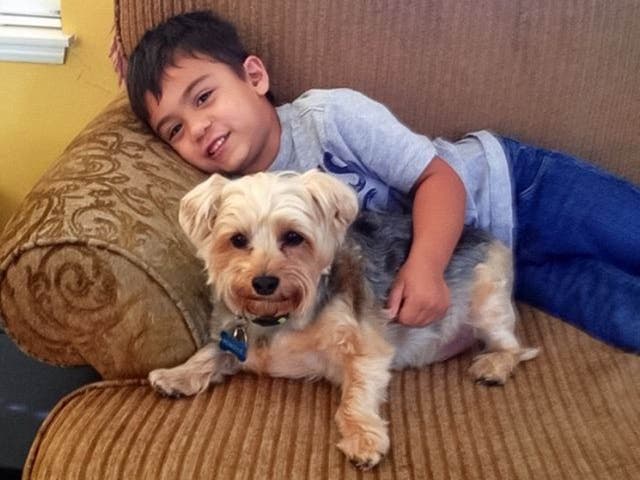 Boy with autism reads to rescue dogs to help them find a new home | The ...