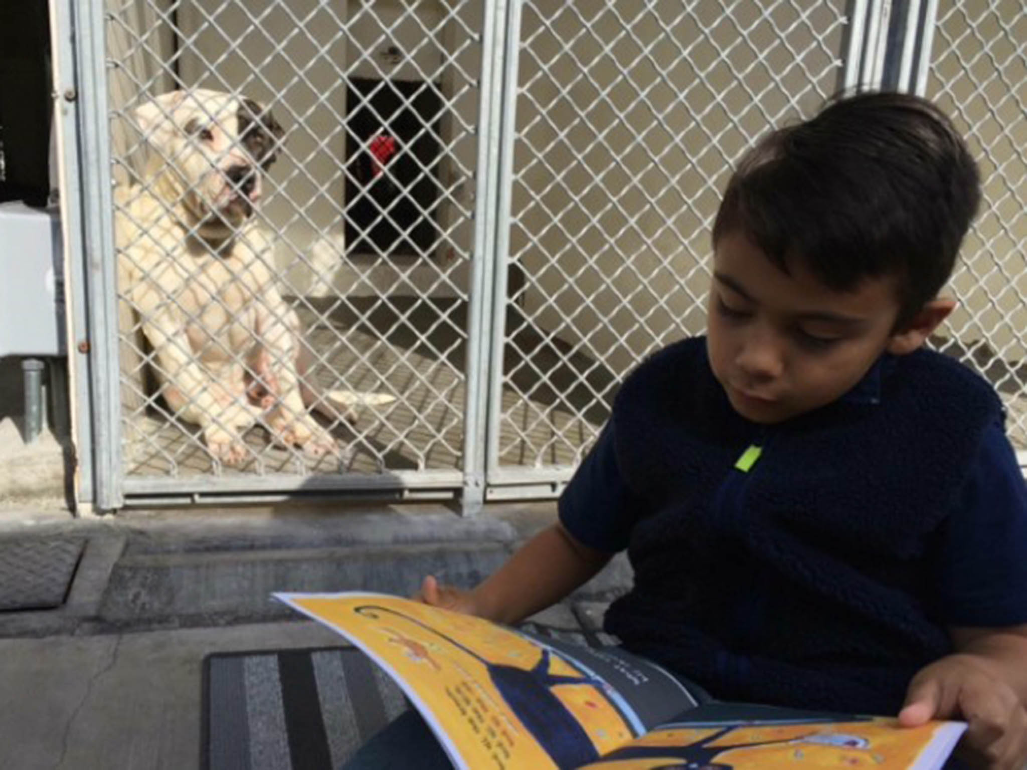 Jacob reading to one of the dogs at the Carson Animal Shelter, California