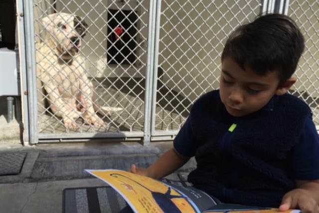 Jacob reading to one of the dogs at the Carson Animal Shelter, California