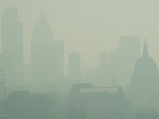 Deadly air pollution can get into the bloodstream, study suggests