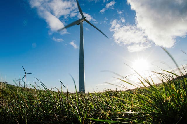 Storms at the weekend helped wind energy generation