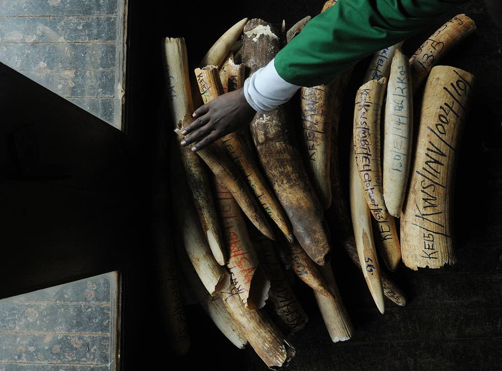 There are concerns that a large amount of China's ivory trade will simply move to Hong Kong