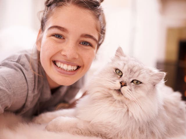 Sheikh Saleh Bin Fawzan Al-Fazwan was asked about 'a new trend of taking pictures with cats' which 'has been spreading among people who want to be like the Westerners'