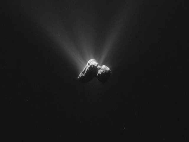 The Comet 67P photographed by Rosetta on Wednesday at a distance of about 7km