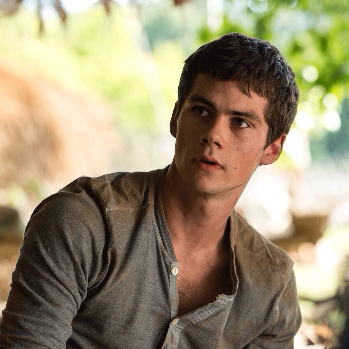 Dylan Obrien Maze Runner Dylan O'Brien Injured On 'Maze Runner: Death