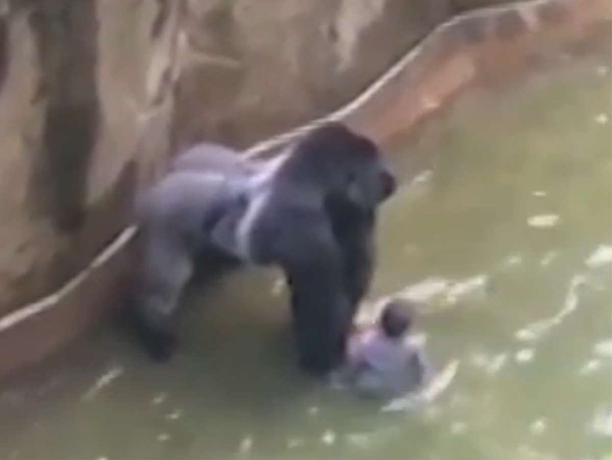 Animals zoo sex i in Cincinnati