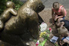 Read more

Vigil held at zoo by activists demanding justice for dead gorilla