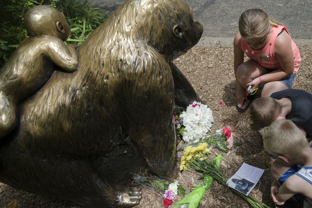 Activists have gathered outside the zoo where the gorilla was shot