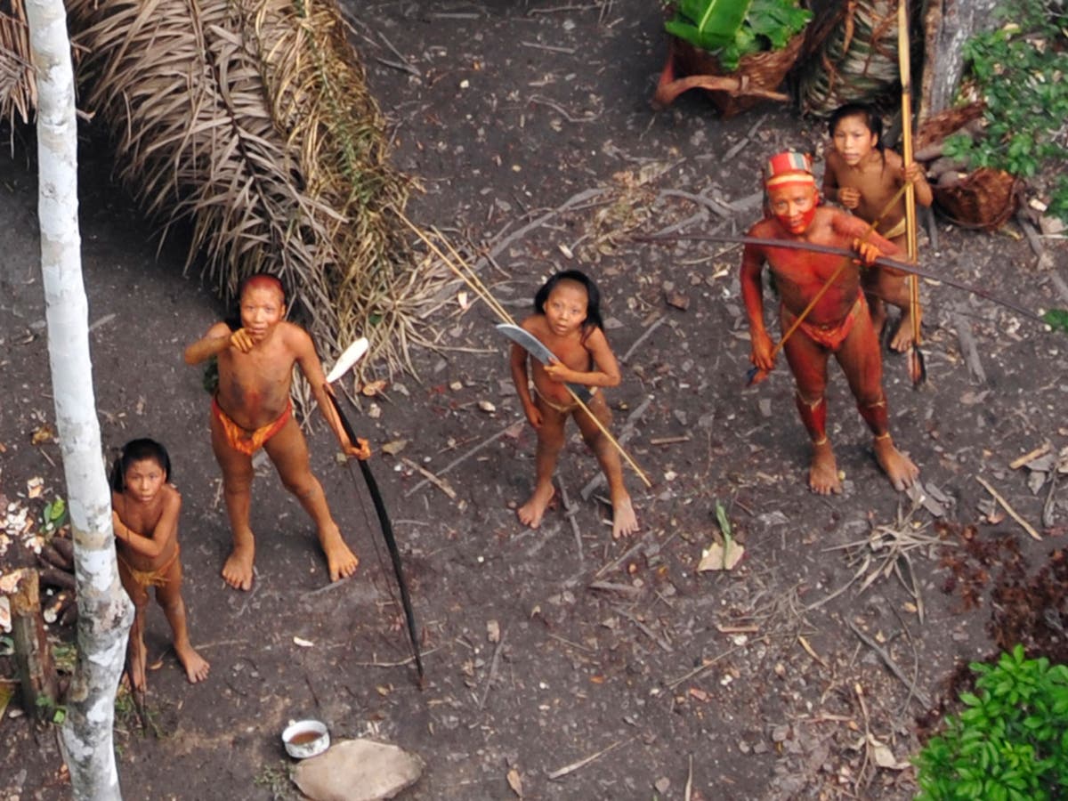 Forced contact with Amazon people would be 'genocide', tribe warns