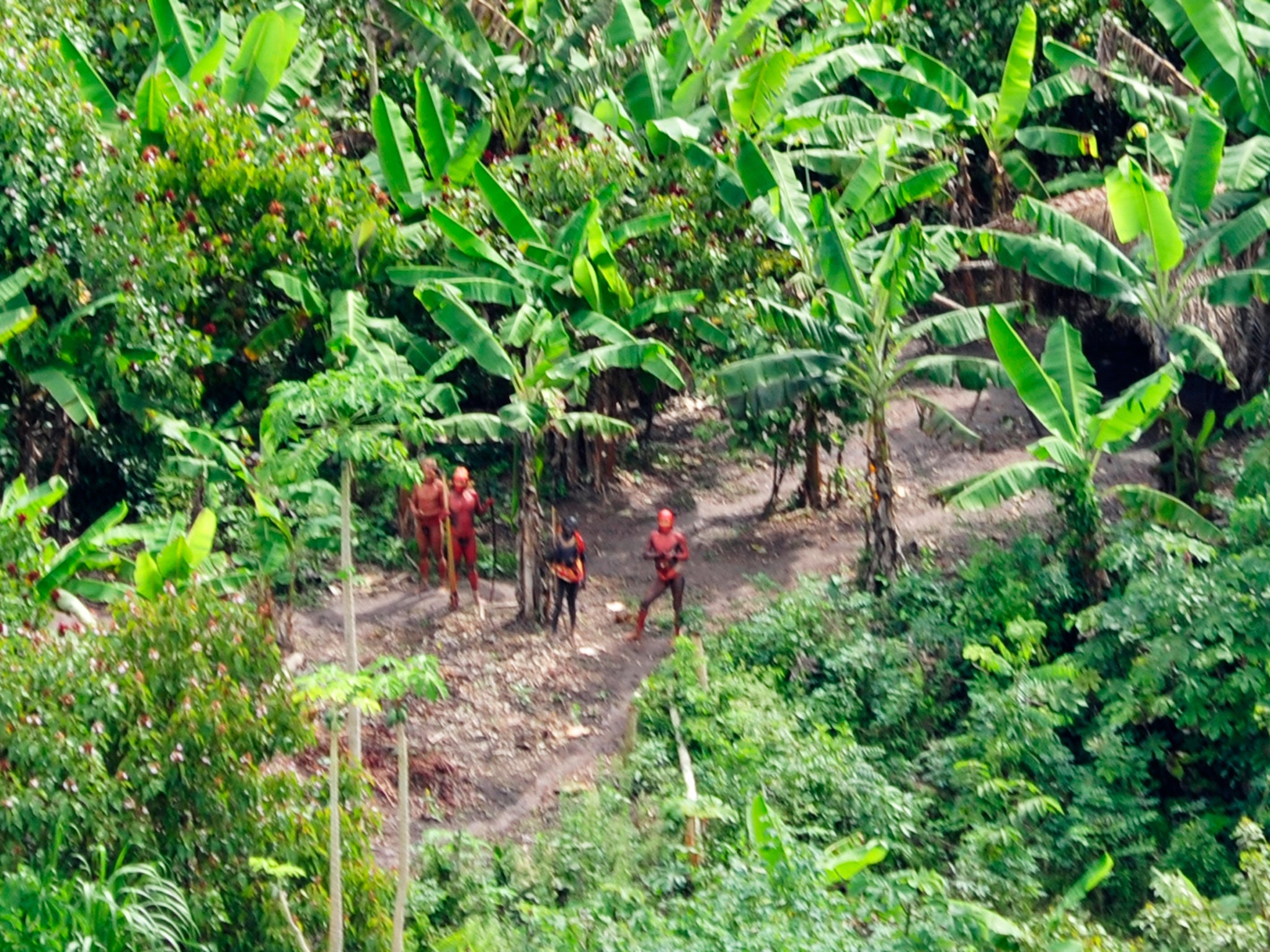 Uncontacted indigenous tribe, photographed from the air
