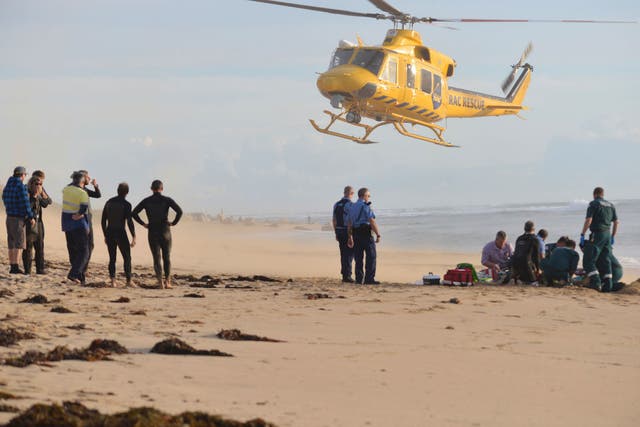 A 15ft great white shark was caught near where the surfer was attacked, south of Perth