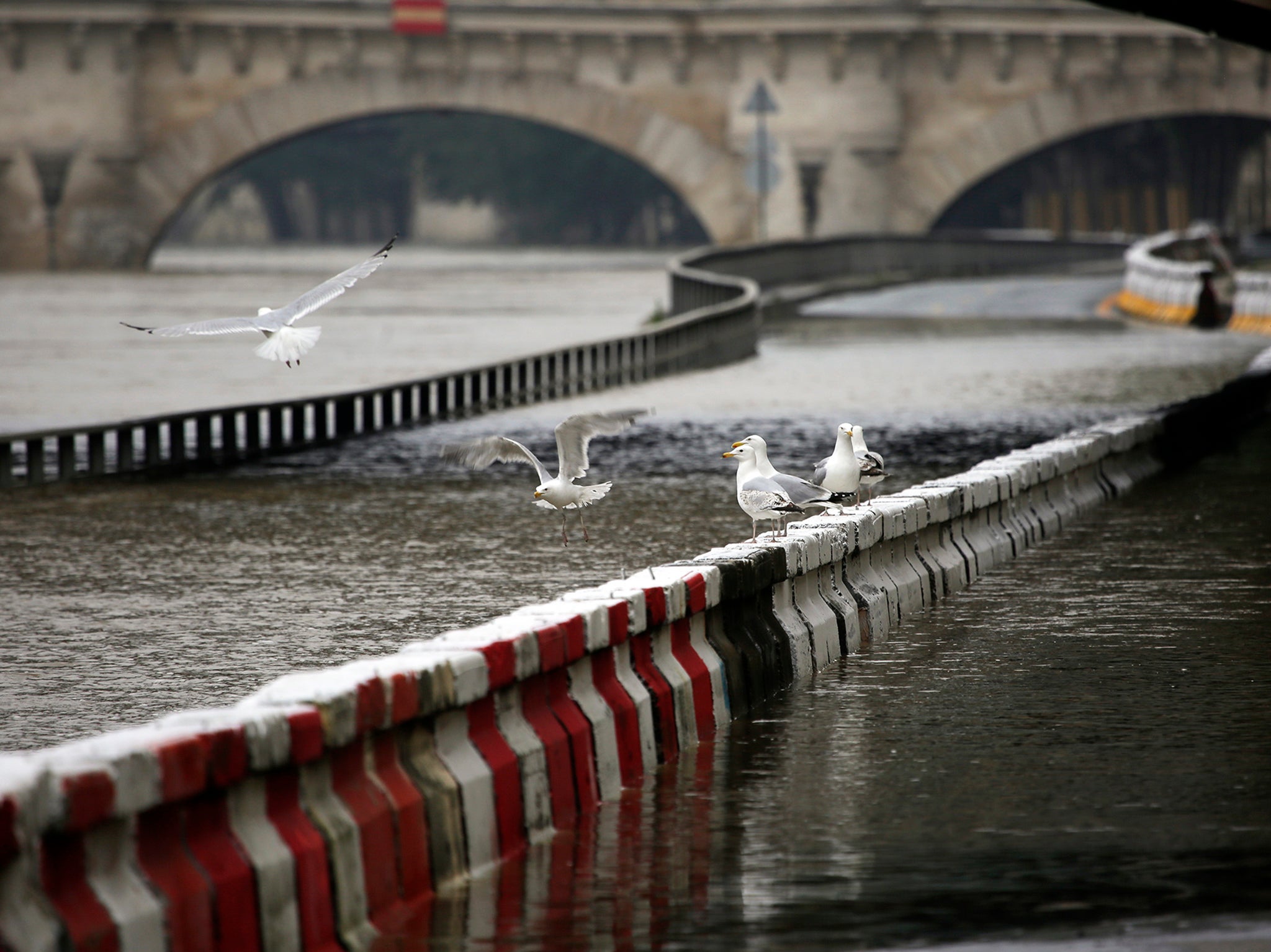 The River Seine has reached the top of the arches of its bridges and some of the Paris quays have been closed