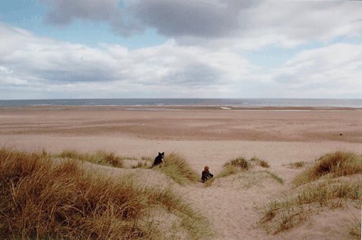 Cool Place of the Day: Kinshaldy Beach, Fife, Scotland | The ...