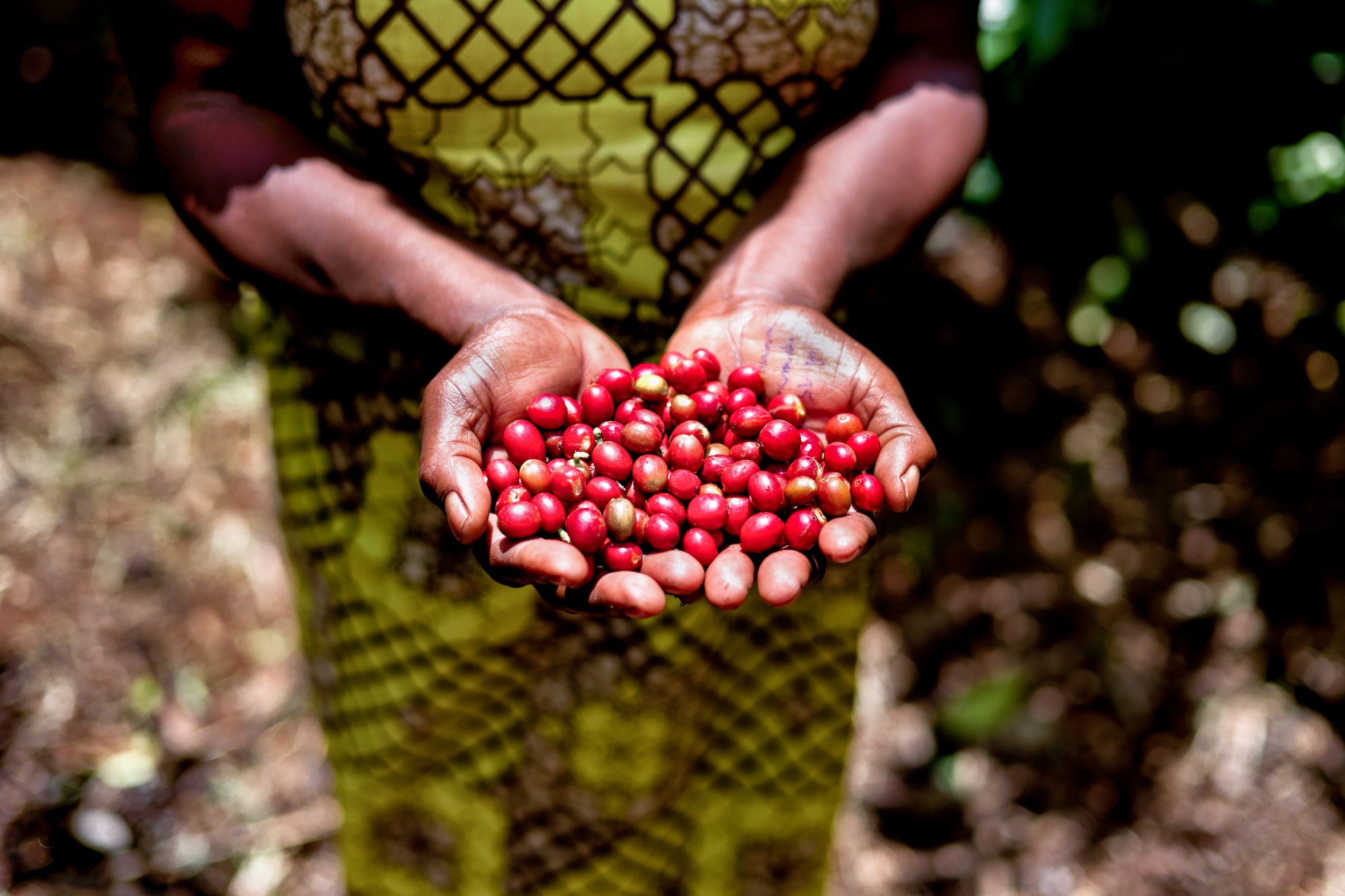 New arrival at Caffelab: Rwanda Sake!