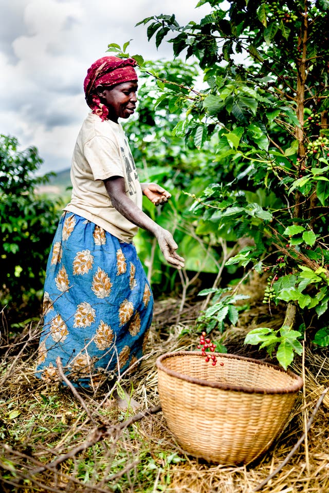 How good coffee gets to you and the Rwandan communities it supports ...
