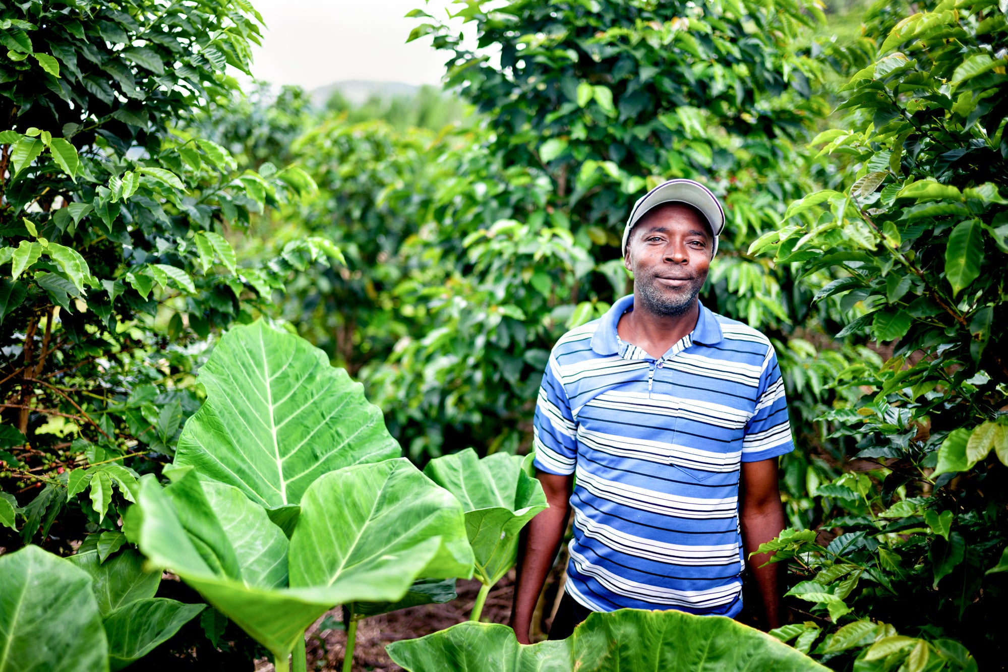 Bernard Nyirimana among his trees