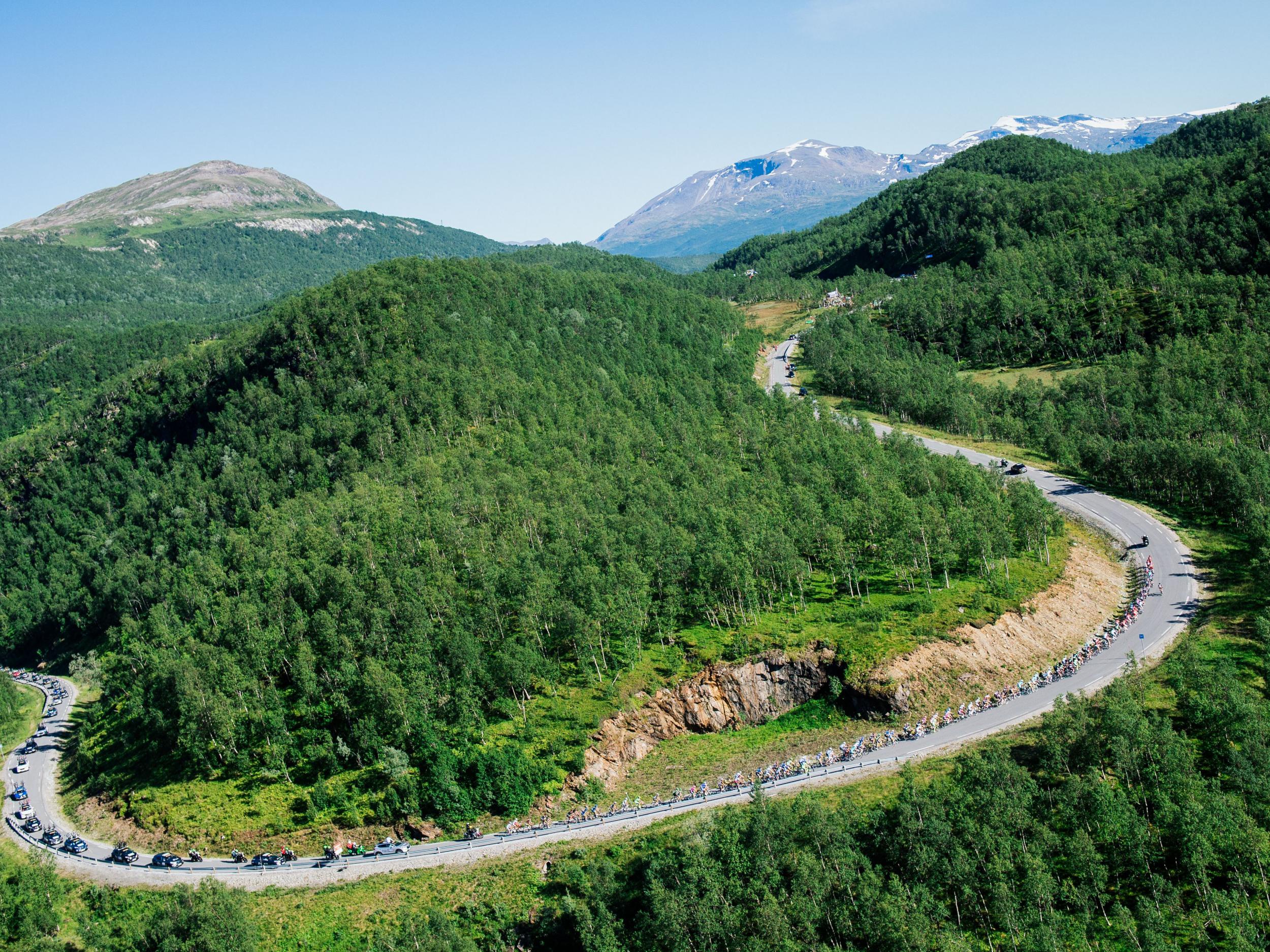 Norway has committed to a zero deforestation supply chain. 