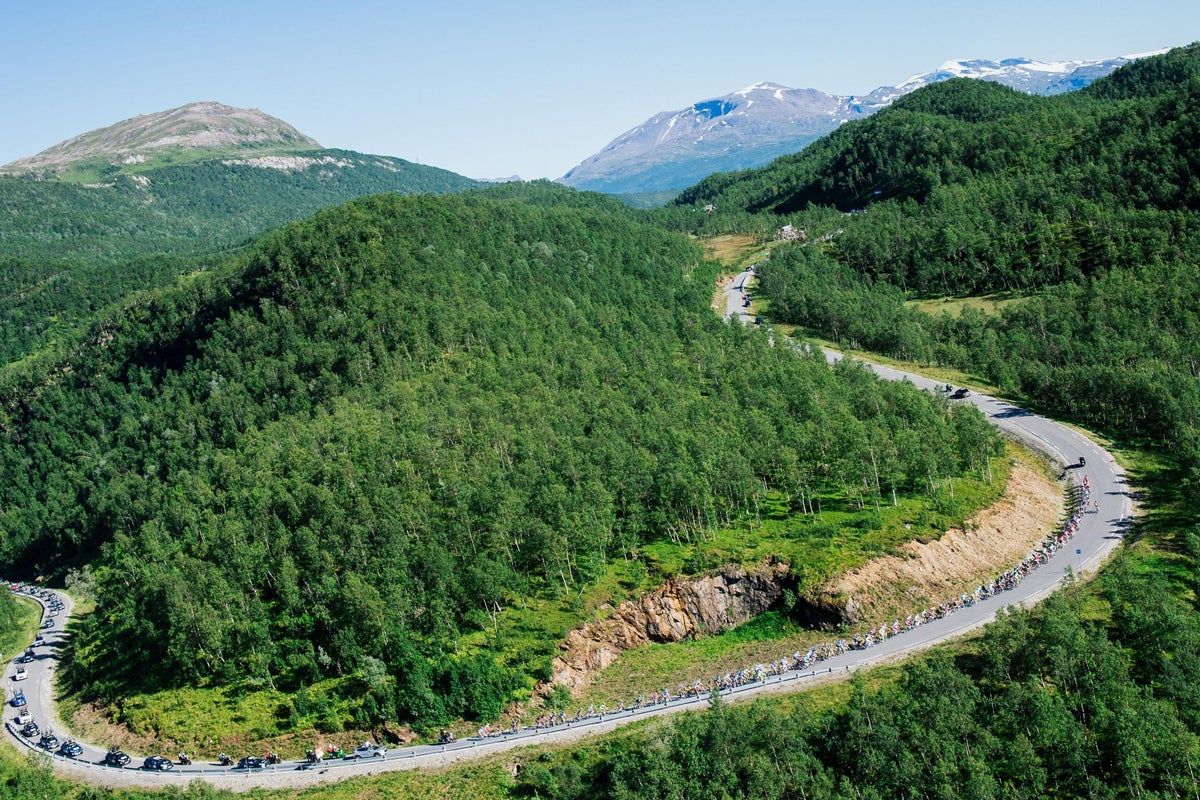 http://www.independent.co.uk/news/world/europe/norway-becomes-first-country-in-the-world-to-commit-to-zero-deforestation-a7064056.html social preview image