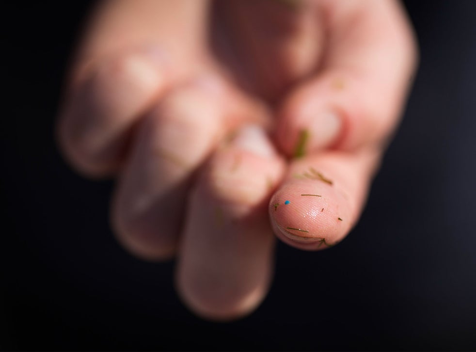 Ban on harmful microbeads could be in breach of EU free trade law