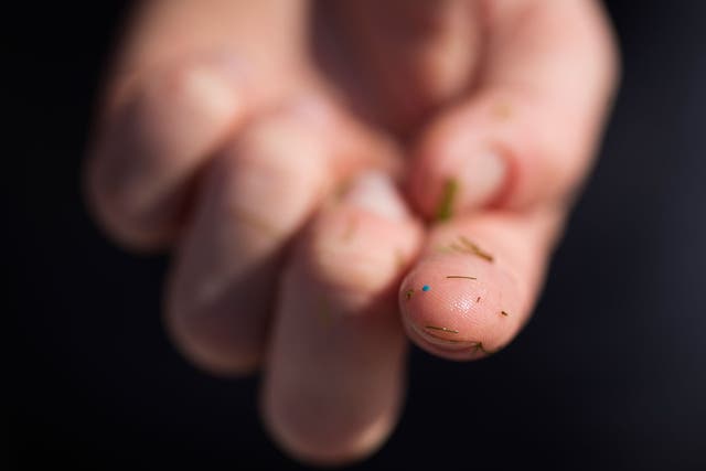An estimated 86 tons of plastic microbeads are washed into the sea from the UK each year