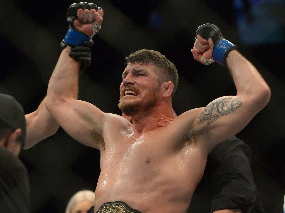 Ufc 199 Five Things We Learnt As Michael Bisping Fulfils His Destiny And Brock Lesnar Returns The Independent The Independent