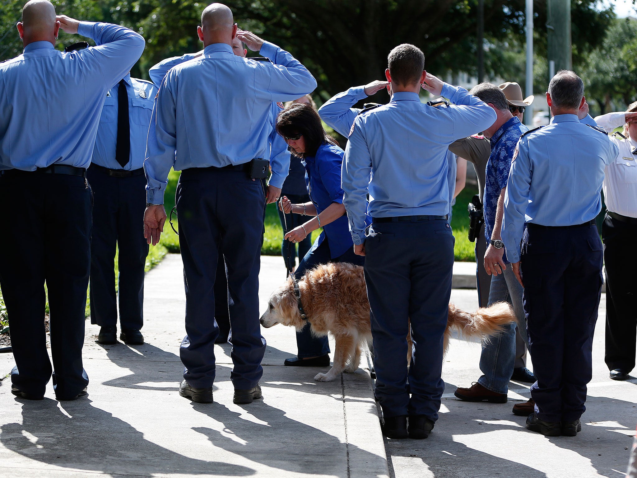 Bretagne being walked by her handler Denise Corliss past members of the Cy-Fair Volunteer Fire Department at the Fairfield Animal Hospital in Cypress, Texas, on 6 June 2016