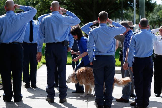 Bretagne being walked by her handler Denise Corliss past members of the Cy-Fair Volunteer Fire Department at the Fairfield Animal Hospital in Cypress, Texas, on 6 June 2016