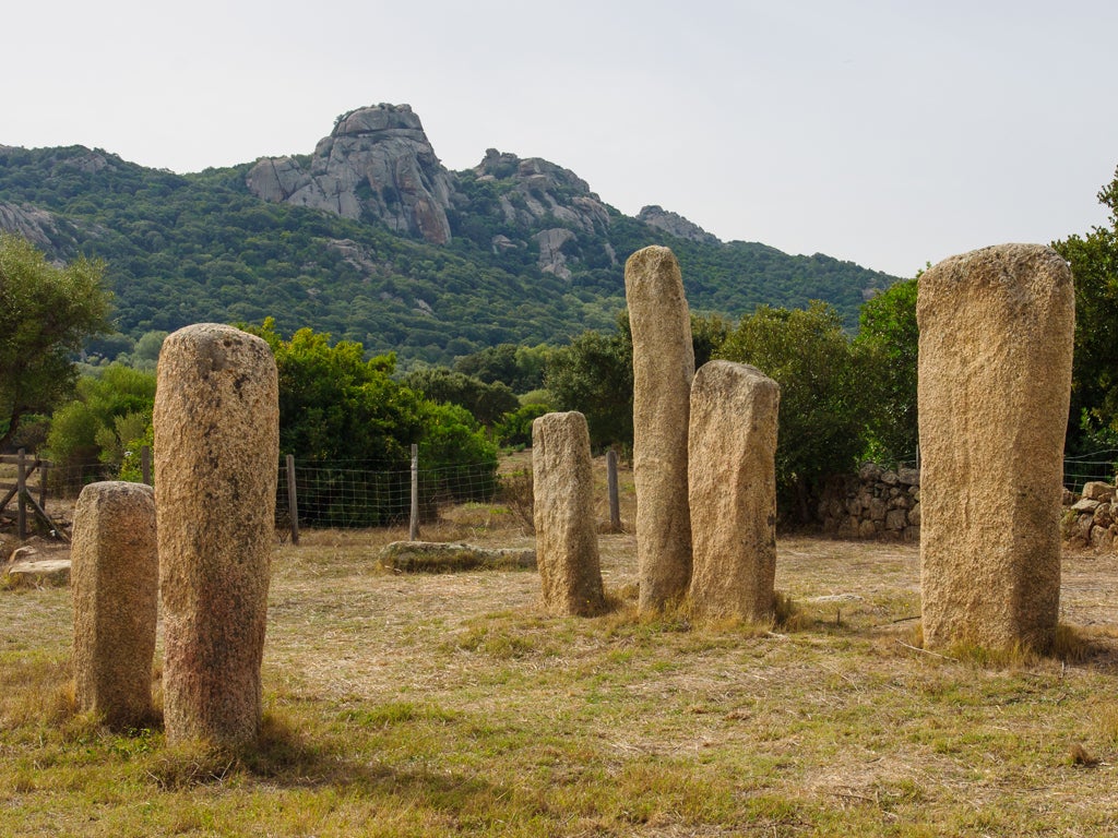 Menhirs at the megalithic site of Cauria