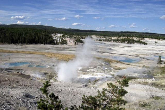 The Norris Geyser spring has been closed off while the investigation is ongoing