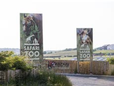 South Lakes Safari Zoo fined £255,000 over death of keeper Sarah McClay
