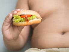 Obese diners are set to be banned from a 'naked' restaurant