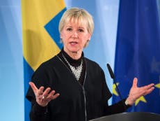 EU referendum: Swedish foreign minister warns Brexit 'could cause break-up of European Union'