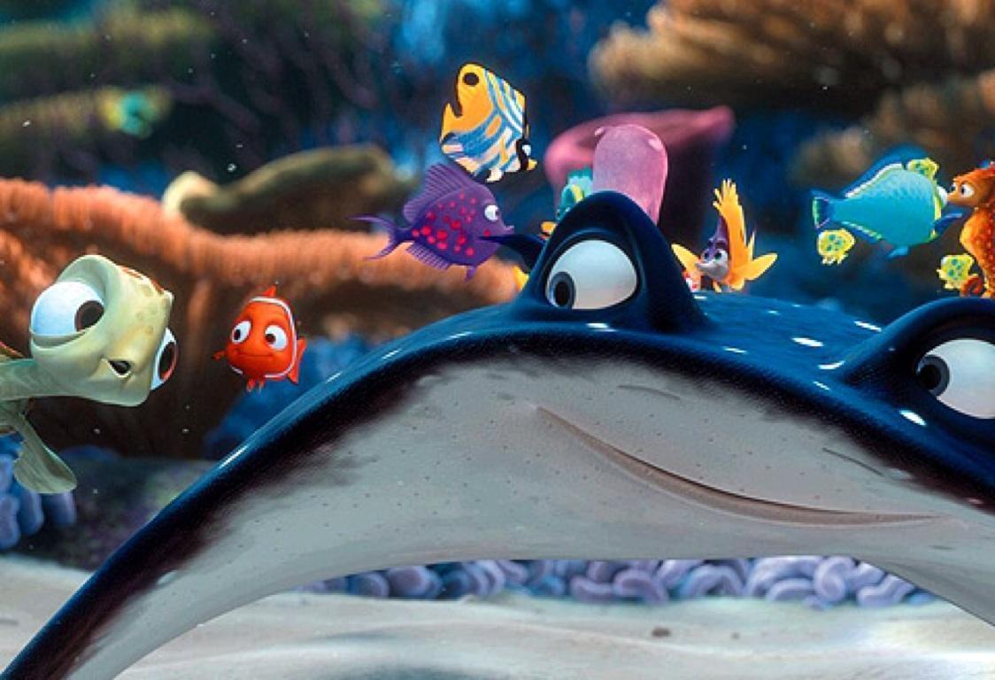 Mr Ray with his underwater chums in Finding Nemo