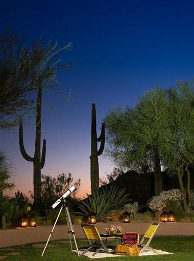 A celestial picnic in Arizona's Sonoran desert