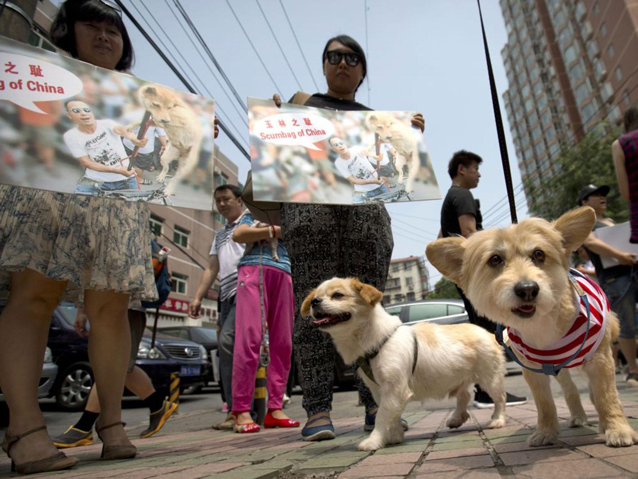 Animal rights advocates hold protest signs outside the Yulin government office in Beijing, as the petition is handed in