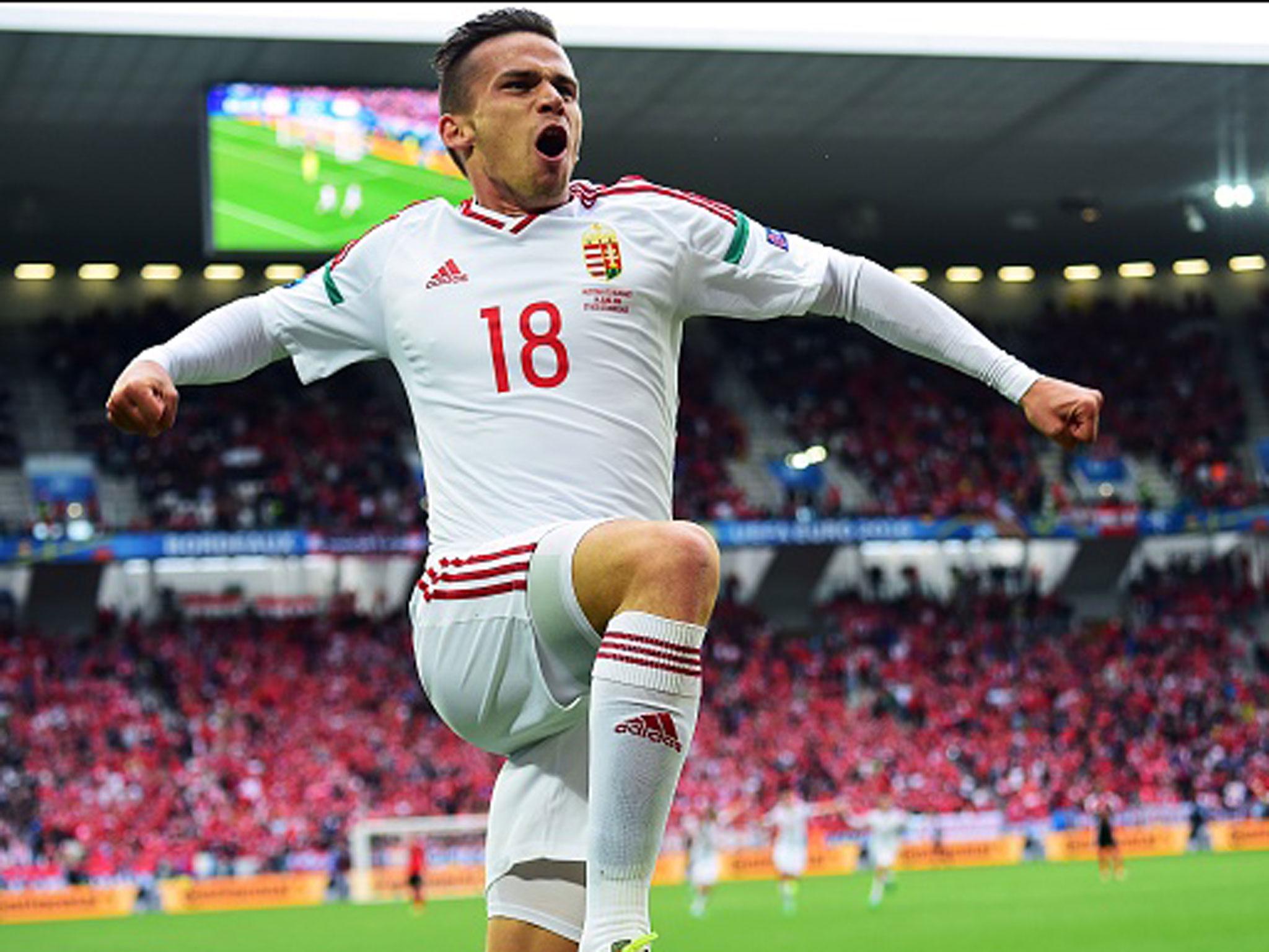 Zoltan Stieber celebrates his goal that secured the victory for Hungary (Getty)
