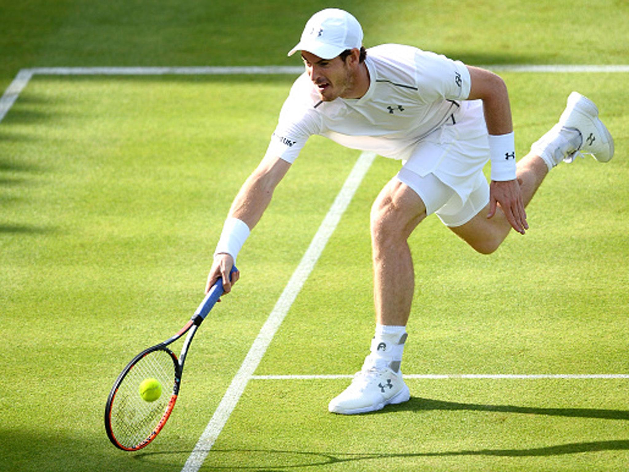 Andy Murray put in a strong display in beating Nicolas Mahut at Queen's on Tuesday evening (Getty)
