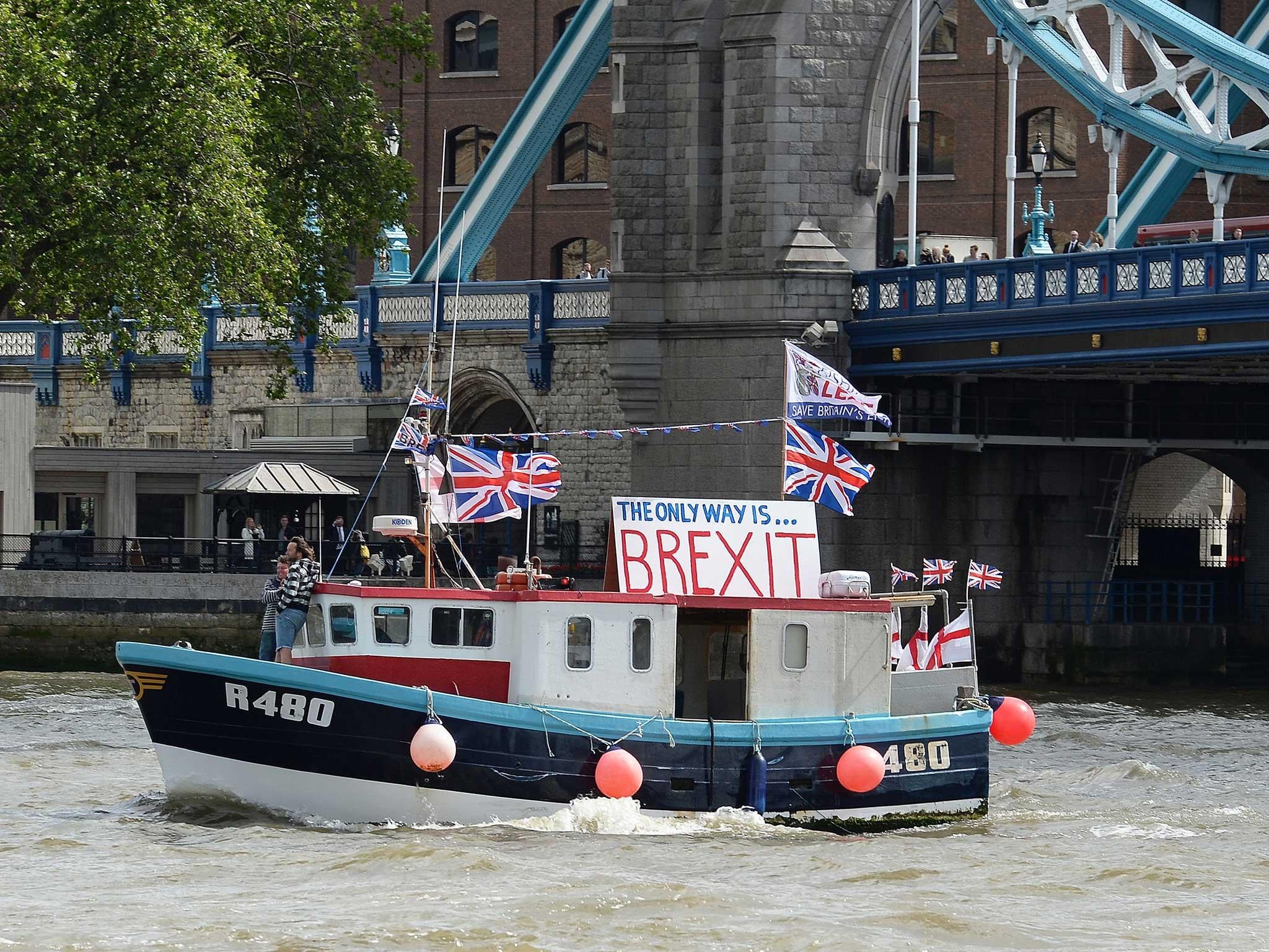 The yacht that Mr Fox wants the Queen to have would be considerably bigger than this Brexit flotilla