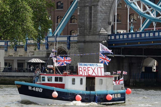 The yacht that Mr Fox wants the Queen to have would be considerably bigger than this Brexit flotilla