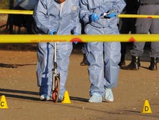 South African charged with axe murders of family