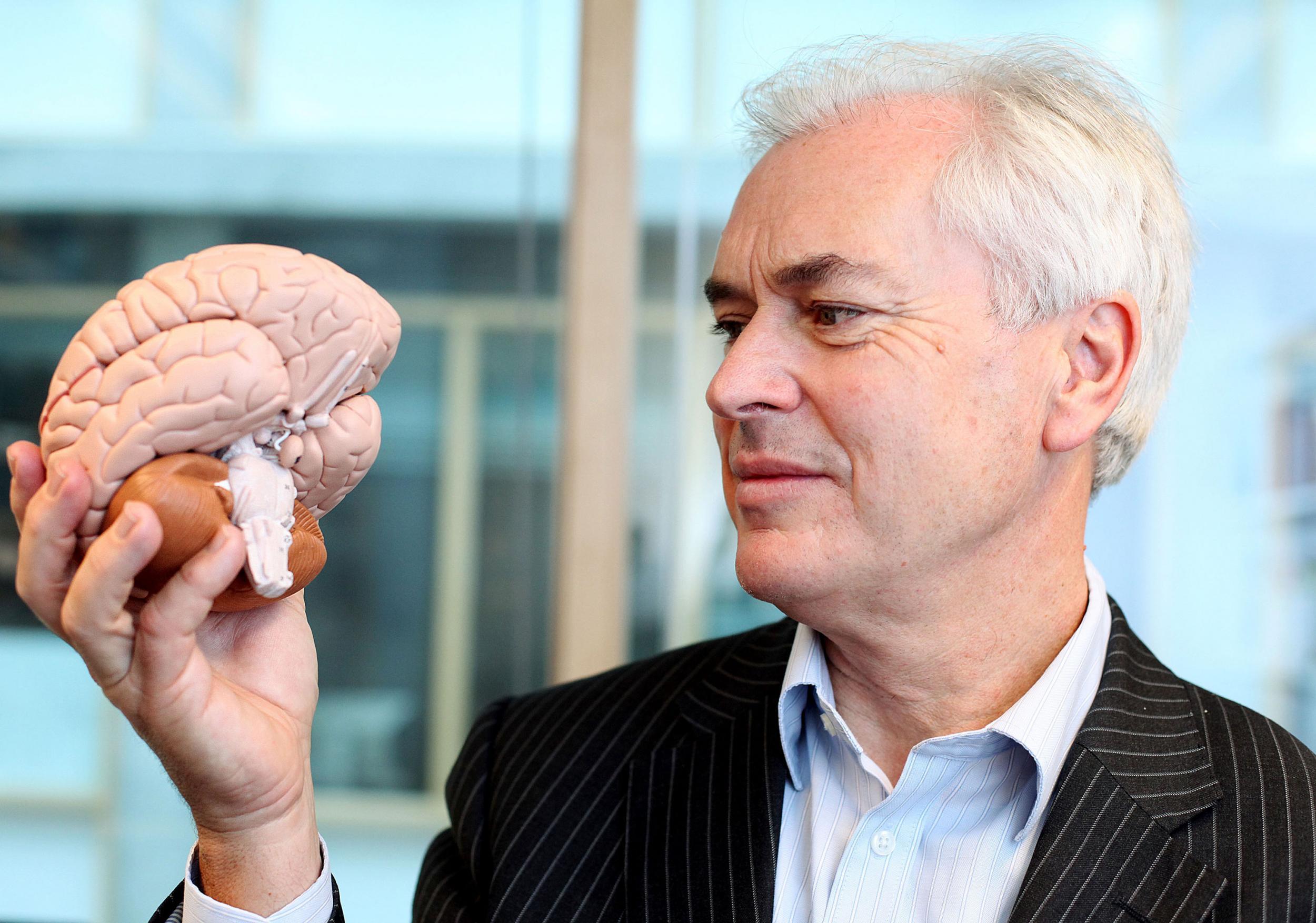 Professor Ian Robertson argues that stress can help to boost the brain