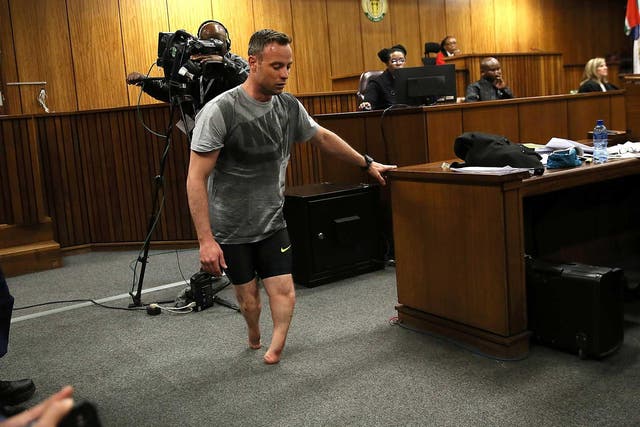 Oscar Pistorius's lawyer said the murder should be viewed in the context of the athlete's disability