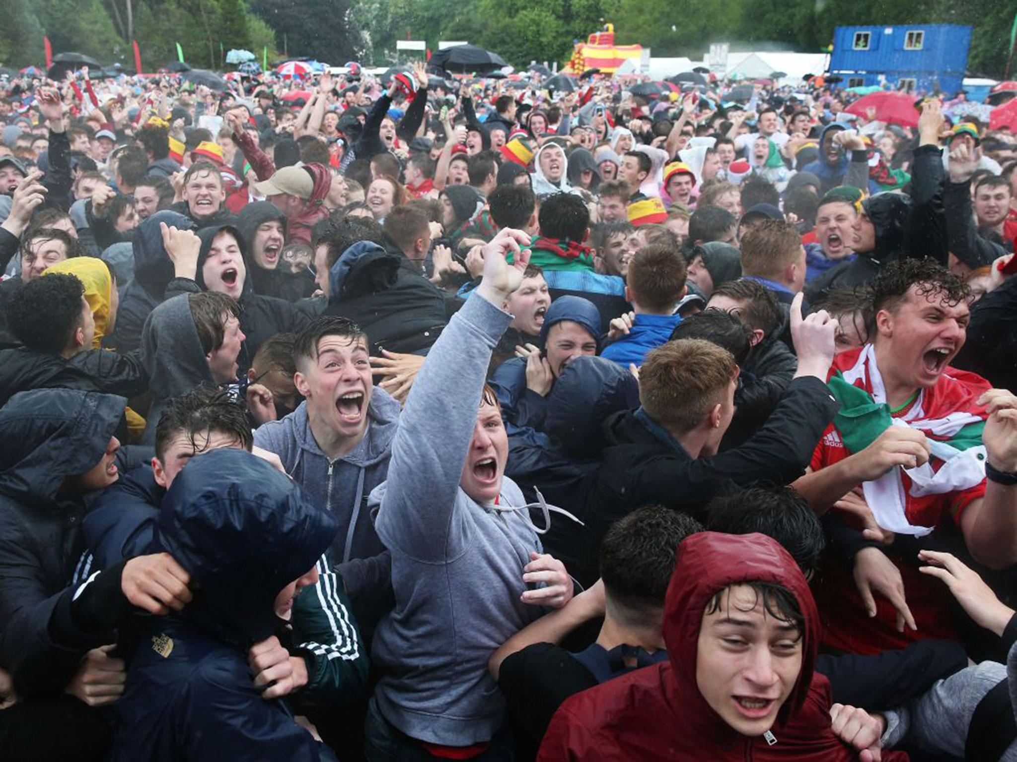 Welsh fans celebrate after Gareth Bale scores the first goal at the Cardiff Fanzone in Bute Park on June 16