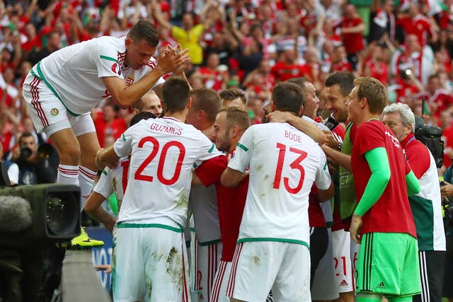 Hungary celebrate Birkir Mar Saevarsson's own goal